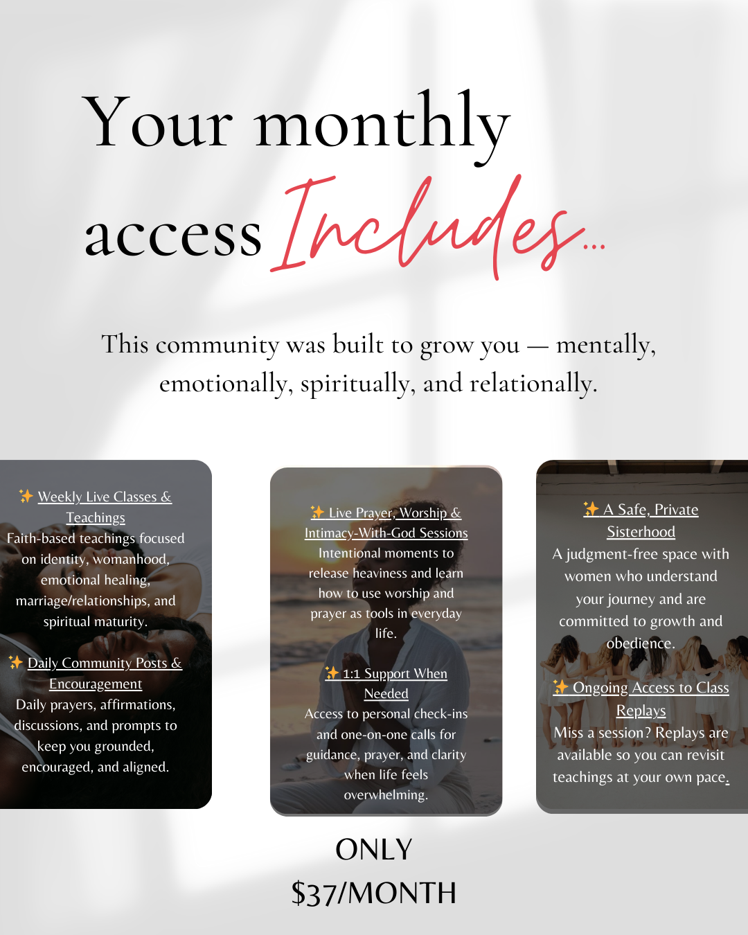 Dainty Society: The Membership